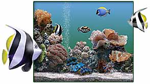 Plus! Aquarium